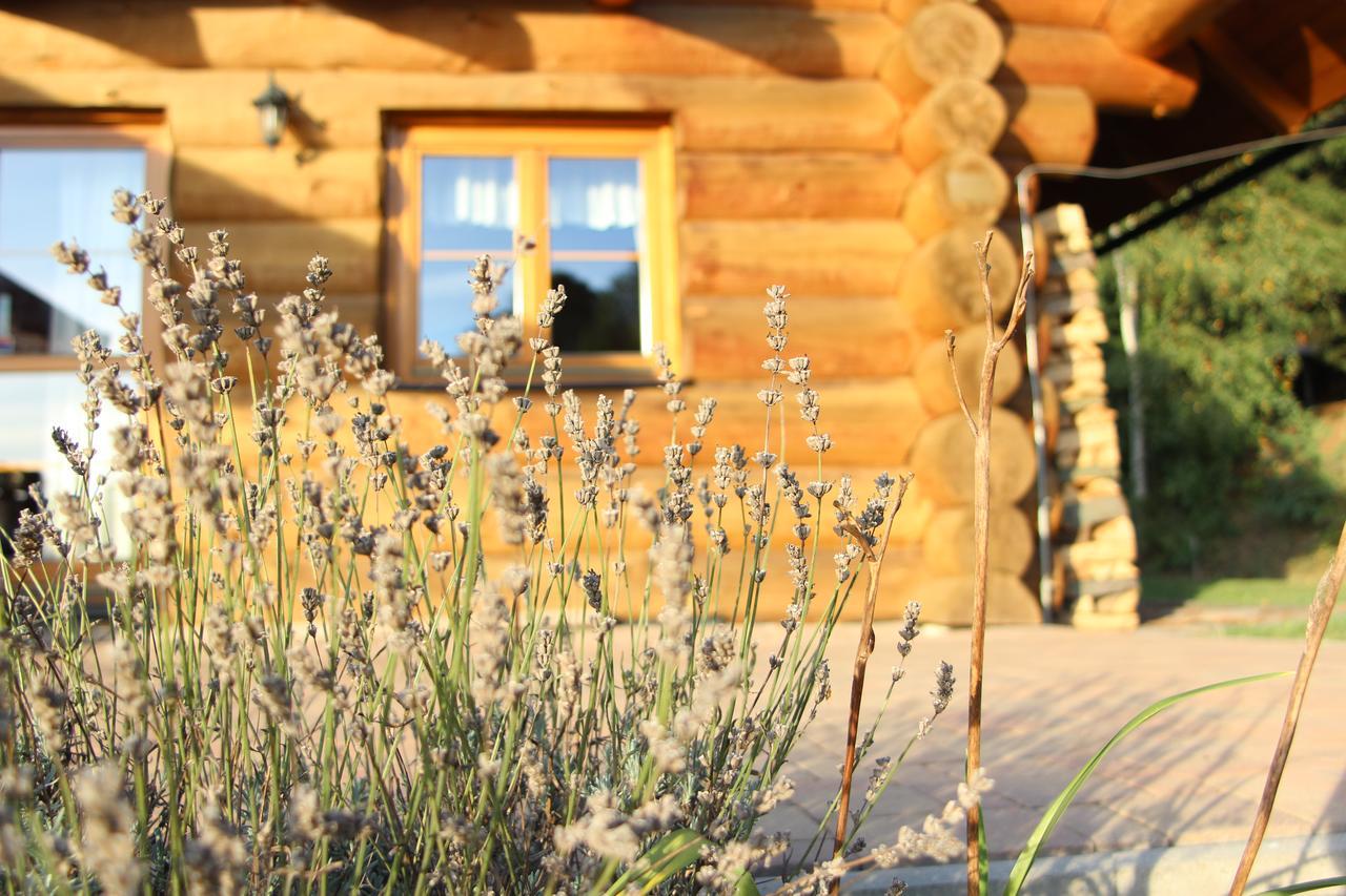 Villa Ranch Bystrá Bystrá nad Jizerou Exterior foto